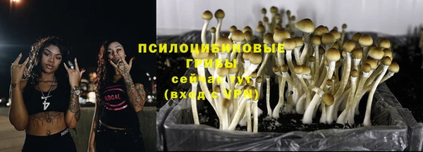 спиды Покачи