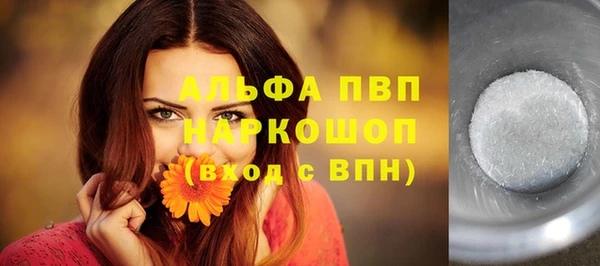 спиды Покачи