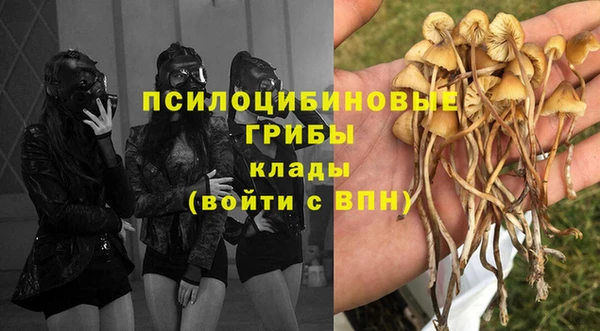 каннабис Приозерск
