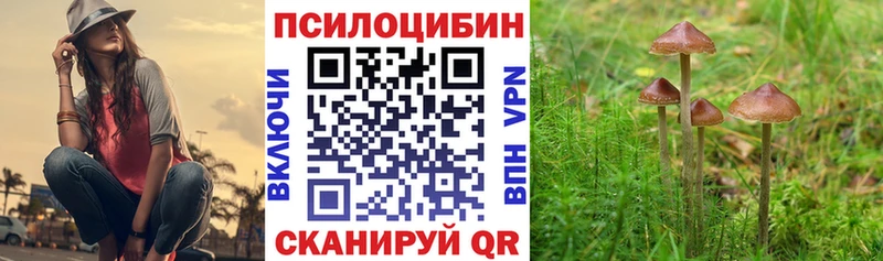 где купить наркотик  Кремёнки  Псилоцибиновые грибы MAGIC MUSHROOMS 