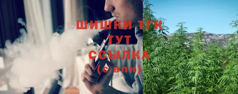 купить закладку  Кремёнки  Бошки марихуана Amnesia 